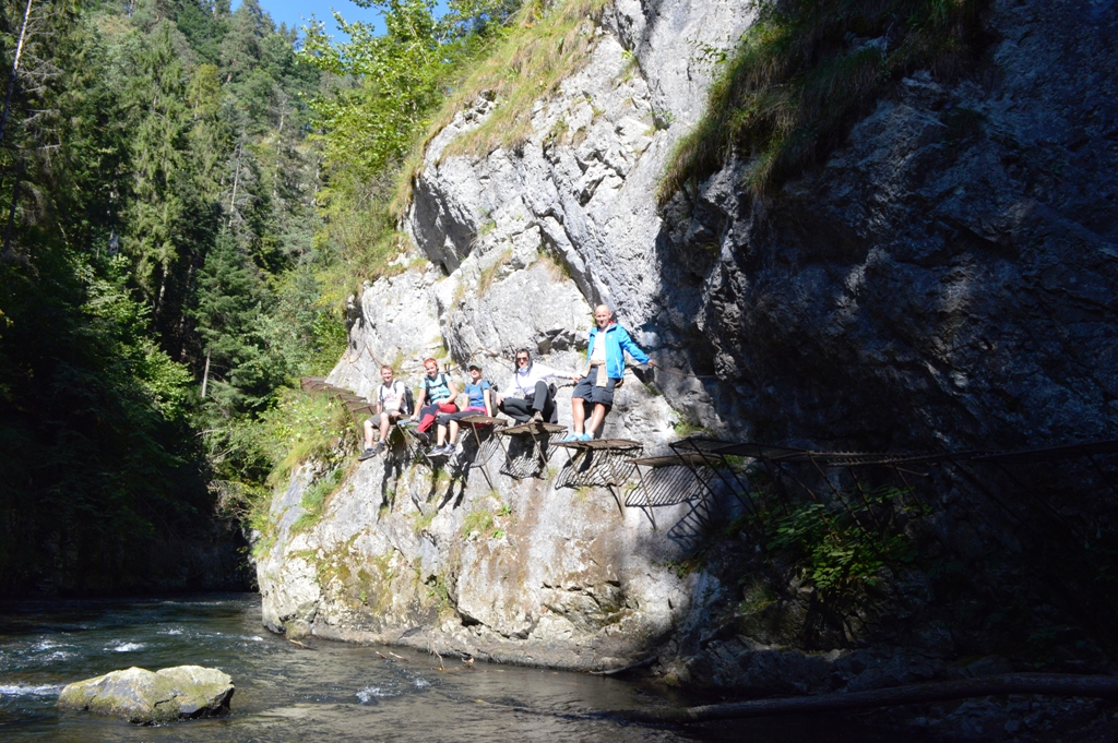 ????????????????????????????????????