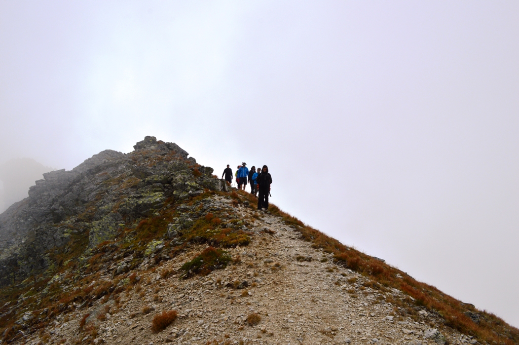 ????????????????????????????????????